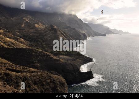 Barranco de Guayedra, rugged volcanic coastline in the northwest of Gran Canaria Canary Islands Spain.