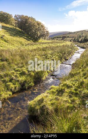 The valley of Conglass Water at Blairnamarrow near Tomintoul, Moray, Scotland UK. Stock Photo