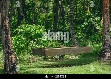 Photo shows garden furniture - a wooden swing. Swing is located in the forest. Seat of the swing is made of wood, or rather the saw cut of wood, and t Stock Photo