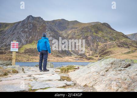 Rear view of a man in wet weather gear hiking the mountains of Snowdonia National Park, looking at lake near public nature reserve advice sign. Stock Photo