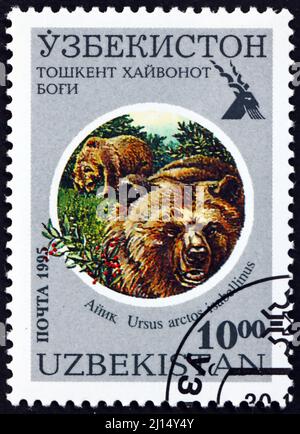 UZBEKISTAN - CIRCA 1995: a stamp printed in Uzbekistan shows Himalayan brown bear, ursus arctos isabellinus, is a subspecies of the brown bear, circa Stock Photo