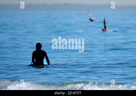 A surfer in silhouette sits on a board as two seagulls fly overhead in Malibu, California USA Stock Photo