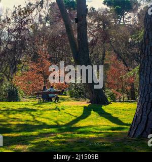 A heterosexual couple sitting under the trees on a public bench in a park in Madrid. Stock Photo
