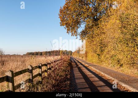 An empty bike path and footpath runs along side a field in Autumn, Cambridge, UK. Stock Photo
