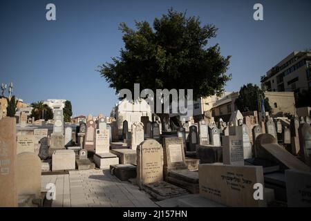 The historic Trumpeldor Cemetery in Tel Aviv, also known as 'The Old Cemetery', containing graves of Israel's great poets, politicians and artists. Stock Photo