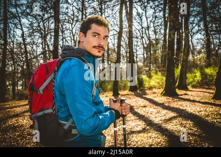 Young man is hiking in the woods. The handsome man has a blue jacket, a red backpack and trekking poles. Stock Photo