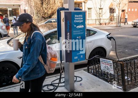 A Tesla electric vehicle is charged at a public charging station in Williamsburg, Brooklyn in New York on Saturday, March 19, 2022. (© Richard B. Levine) Stock Photo