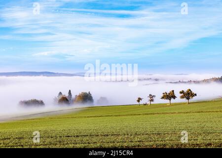 foggy sunrise in the scenic hilly landscape of the Taunus area in Hesse, Germany Stock Photo