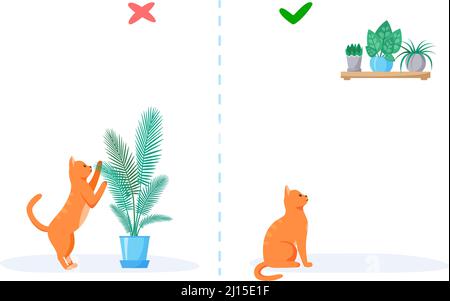 Cat and home plants. Wrong and right ways to keep plants at home with pet. Naughty red cat eats flowers in pots. Flat style vector Stock Vector