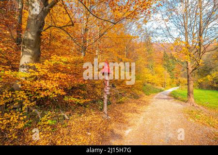 Autumn rural landscape. A dirt road lined with colorful trees. Stock Photo