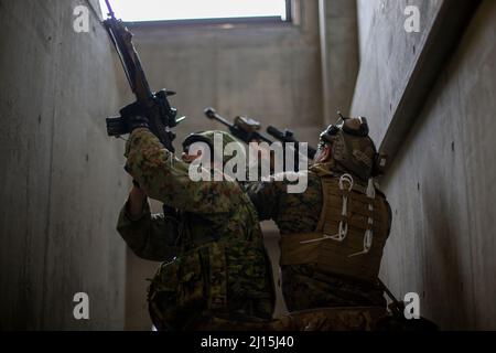 A U.S. Marine with Battalion Landing Team 1/5, 31st Marine Expeditionary Unit, and a Japanese soldier with the 1st Amphibious Rapid Deployment Regiment (1ARDR) work together to clear buildings during Military Operations in Urbanized Terrain (MOUT) training at Combined Arms Training Center Camp Fuji, Japan, March 16, 2022. MOUT training provides the organization, planning, and knowledge needed to be successful when conducting operations in an urban environment. Maritime Defense Exercise Amphibious Rapid Deployment Brigade is a bilateral exercise meant to increase interoperability and strengthen Stock Photo