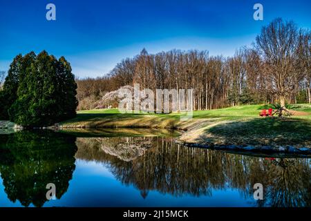 Two red chairs on the lawn Stock Photo