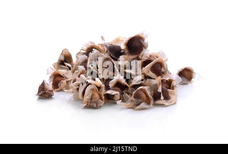Moringa Oleifera seed dried from Moringa tree on isolated white background Stock Photo