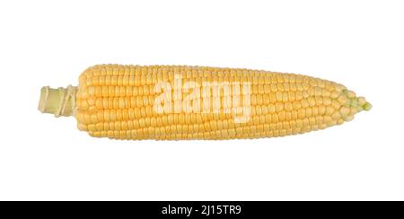Raw Sweet corn isolated on white background. Top view Stock Photo