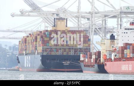 Oakland, CA - Feb 14, 2022: MSC cargo ship MSC EVA loading at the Port of Oakland, the fifth busiest port in the United States. Stock Photo