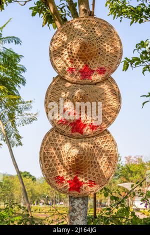 Close-up of three straw hats hanging on a tree Stock Photo