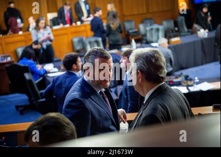 United States Senator Ted Cruz (Republican of Texas), left, and United States Senator John Neely Kennedy (Republican of Louisiana) talk during a break in Judge Ketanji Brown Jackson’s Senate nomination hearing to be an Associate Justice of the Supreme Court of the United States, in the Hart Senate Office Building in Washington, DC, USA, Tuesday, March 22, 2022. Photo by Rod Lamkey/CNP/ABACAPRESS.COM Stock Photo