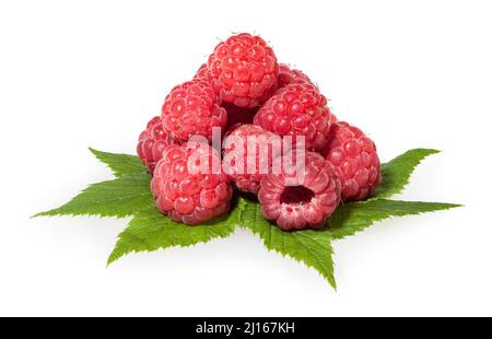 Raspberries with green leaves isolated on white background Stock Photo