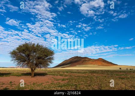 Altocumulus clouds against blue sky Namib Desert Namibia Stock Photo