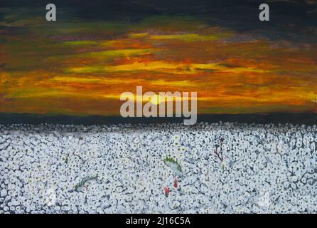 Oil painting on canvas of colorful orange sunset over large field of white cotton blossoms Stock Photo