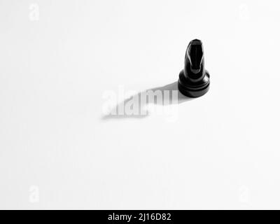 Knight or horse chess piece on white background with shadow. Stock Photo