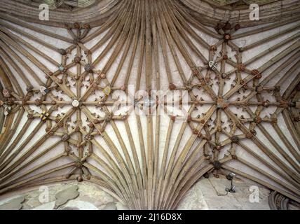 Canterbury, Cathedral, Gewölbe im Kreuzgang , St., Sankt, Saint Stock Photo