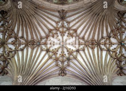 Canterbury, Cathedral, Gewölbe im Kreuzgang , St., Sankt, Saint Stock Photo