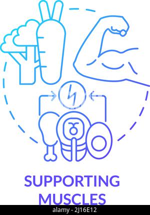 Supporting muscles blue gradient concept icon Stock Vector