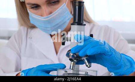 Female laboratory assistant analyzes samples using a microscope while working at a table in a laboratory, doing research Stock Photo