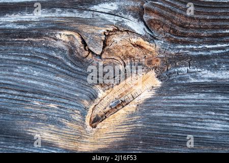 The surface of an old, brown, wooden board with a place from the branch, similar to the eye angle, texture Stock Photo
