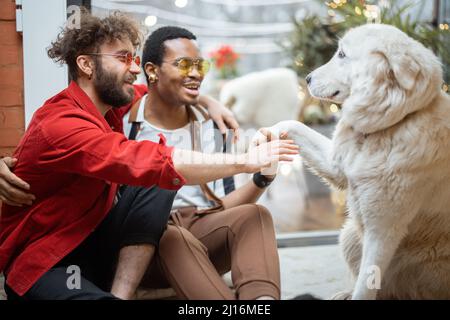 Two guys care dog while sitting on the floor at home Stock Photo