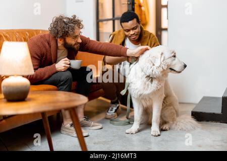 Gay couple having fun with a dog at home Stock Photo