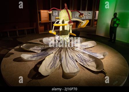 London, UK.  23 March 2022. 'The Inner Ocean : Passion Flower', 2017, by Ingela Ihrman, a passion flower costume, displayed at the preview of “Rooted Beings”, a new exhibition exploring how humans relate to the world of plants and fungi.  New artists commissions, botanical specimens and historic works are on display at Wellcome Collection, 24 March to 29 August 2022.  Credit: Stephen Chung / Alamy Live News Stock Photo