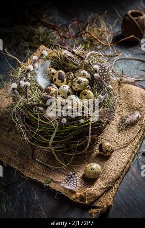 Nest with quail eggs for Easter and blooming branches on black background Stock Photo