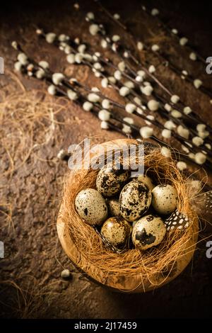 Fresh quail eggs. Rustic style on dark wood background. Easter image in vintage style Stock Photo