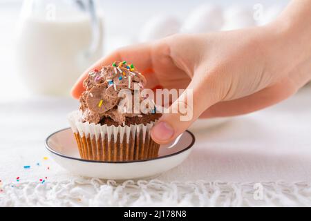 Homemade chocolate cupcakes with chocolate whipping cream Stock Photo