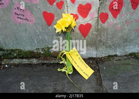 London, UK.  23 March 2022.  Yellow daffodils placed next to the National Covid Memorial Wall by families who lost a loved one, on the two year anniversary of the first Covid-19 lockdown on a National Day of Reflection.  To date, the UK has recorded 186,094 deaths with Covid-19 mentioned on the death certificate.   Credit: Stephen Chung / Alamy Live News Stock Photo