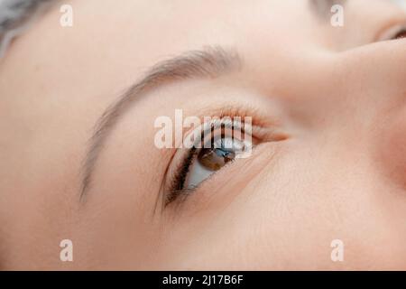 Master makes permanent tattoo makeup on eyelashes of eyes of young woman in beauty salon. Stock Photo