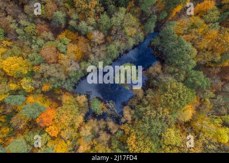 Drone view of small pond in middle of autumn forest Stock Photo