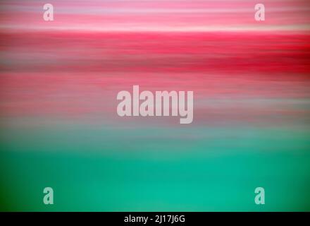 Abstract defocused view of poppies blooming in green meadow Stock Photo