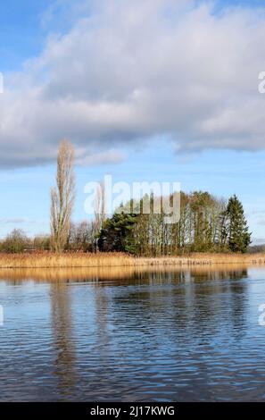 Photograph Shropshire and Worcester canal a British Waterways canal near  Tixall in Staffordshire showing a light forms of trees and other vegetation Stock Photo