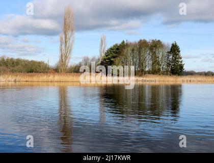 Photograph Shropshire and Worcester canal a British Waterways canal near  Tixall in Staffordshire showing a light forms of trees and other vegetation Stock Photo