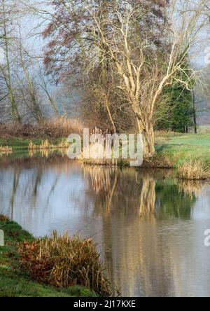 PhotographTrent and Mersey canal a British Waterways canal near Shugborough in Staffordshire showing with towpath and light forms of nature mirrored o Stock Photo