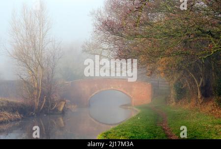 Misty early morning on the Trent and Mersey canal a British Waterways canal near  Handsacre in Staffordshire showing subdued light forms of nature, so Stock Photo