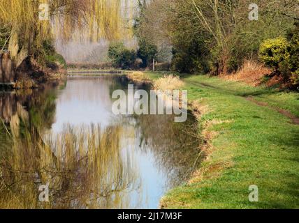 PhotographTrent and Mersey canal a British Waterways canal near Shugborough in Staffordshire showing with towpath and light forms of nature mirrored o Stock Photo