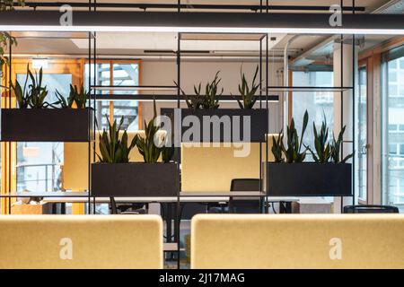 Interior of office with potted plants Stock Photo