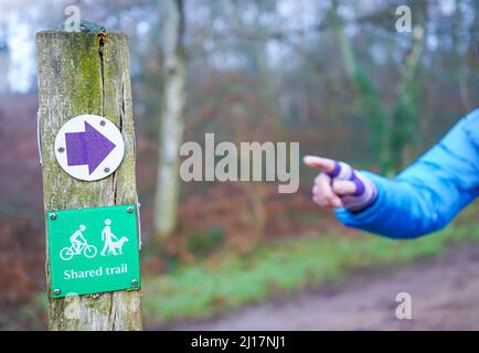 Finger of woman in gloves and coat pointing to isolated Shared Trail sign on a post in UK woodland with footpaths maintained by the National Trust. Stock Photo