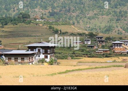 temple and houses in a village (lobesa) in bhutan Stock Photo