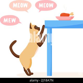 Cat begs for food from table and meows a lot. Pet asks for food. Cat steals from dinner table. Flat style vector  Stock Vector