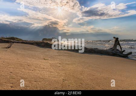 View of the sea coast with a beached log at sunset Stock Photo